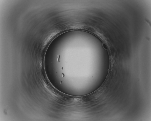 X0000103220060200809041011