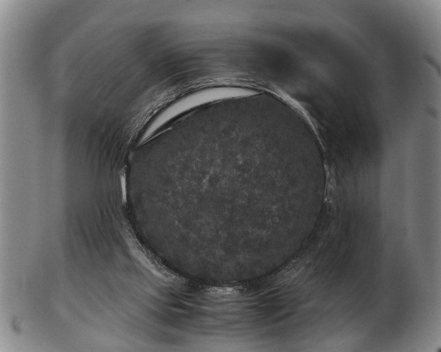 X0000103220061200809041011