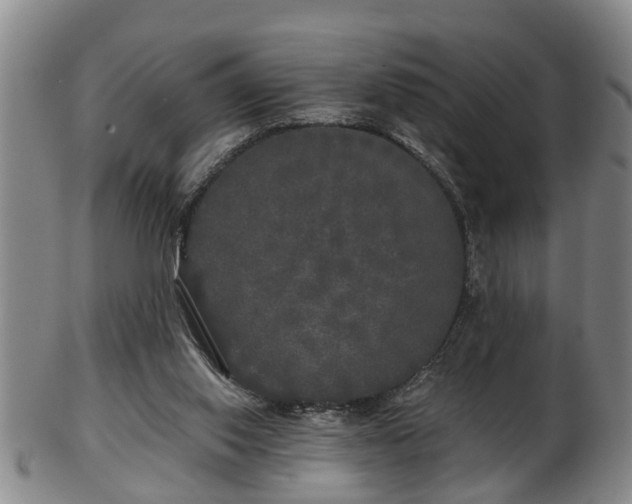 X0000103220062200809041011