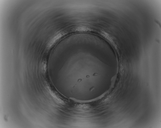 X0000103220063200809041011