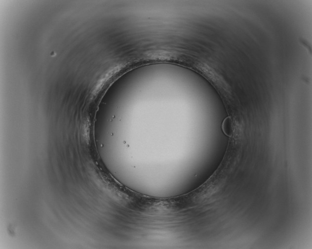 X0000103220064200809041011