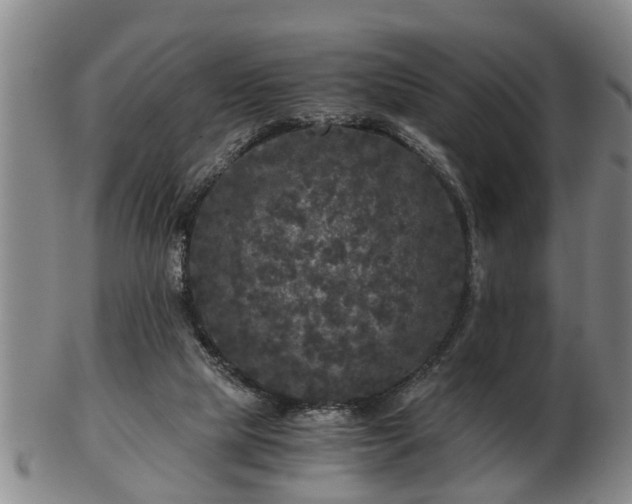 X0000103220065200809041011