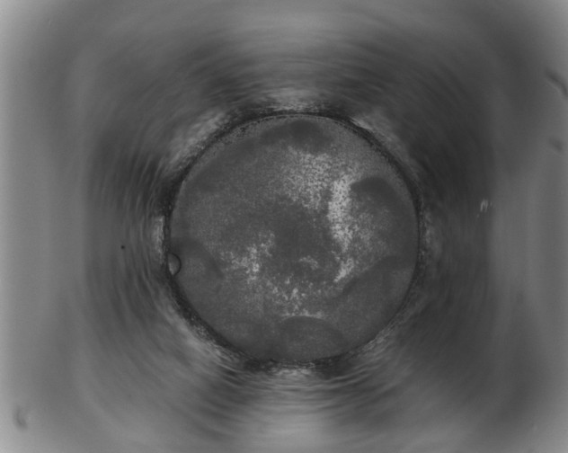 X0000103220066200809041011