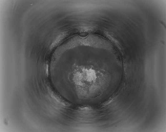 X0000103220067200809041011