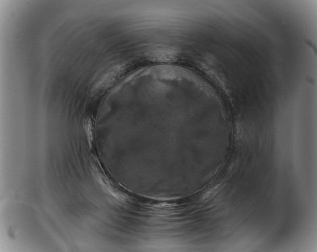 X0000103220069200809041012