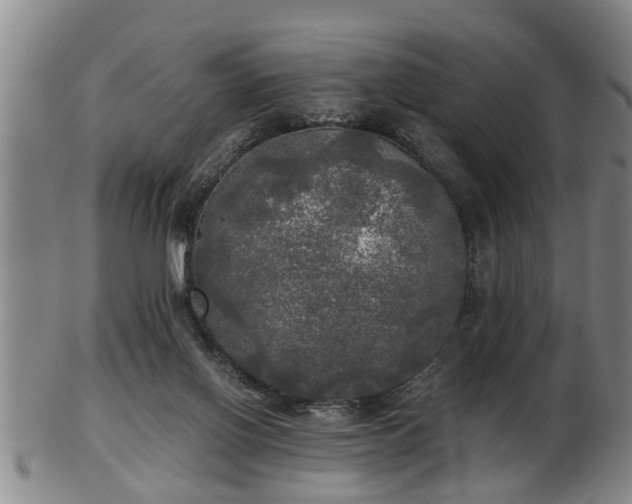 X0000103220070200809041012