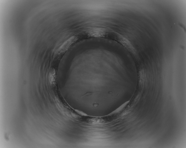 X0000103220073200809041012