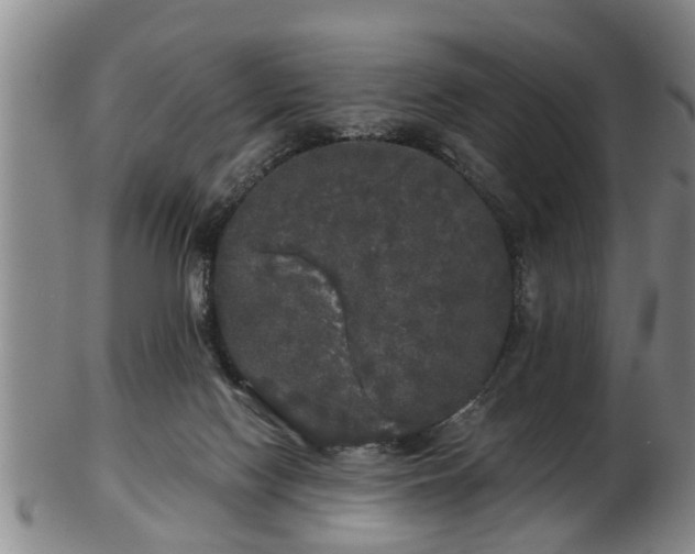 X0000103220074200809041012