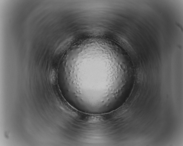 X0000103220077200809041012