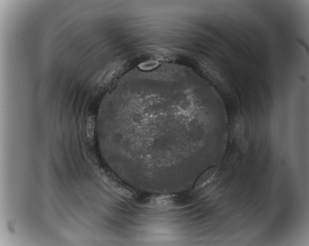 X0000103220078200809041012