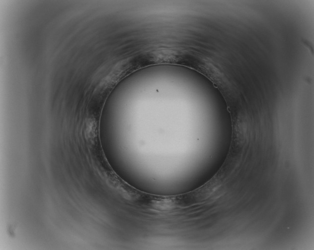 X0000103220079200809041012