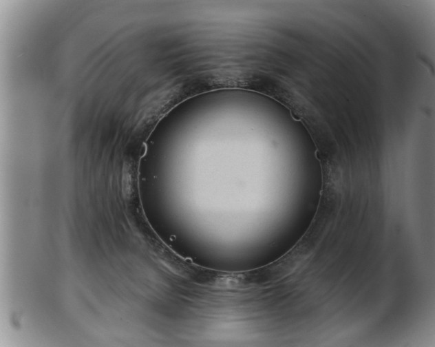 X0000103220080200809041012