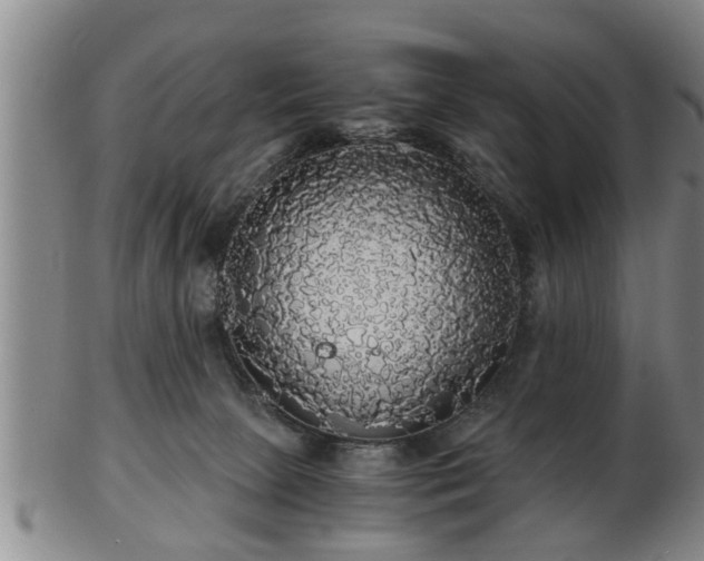 X0000103220081200809041012