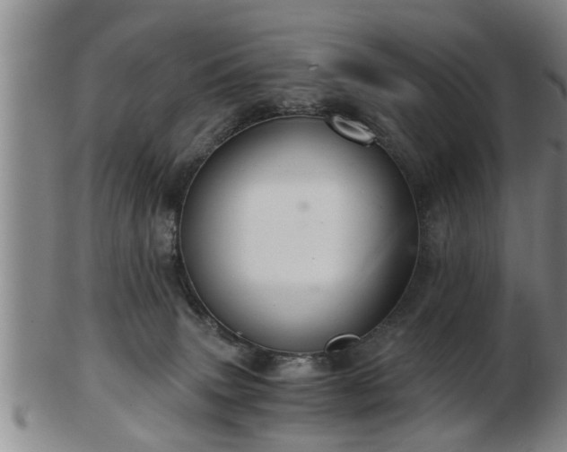 X0000103220083200809041012