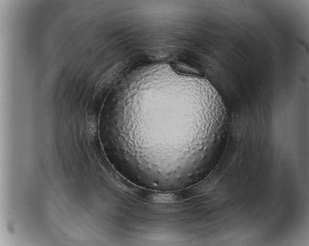 X0000103220085200809041012