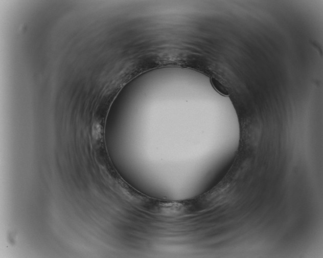 X0000103220087200809041012