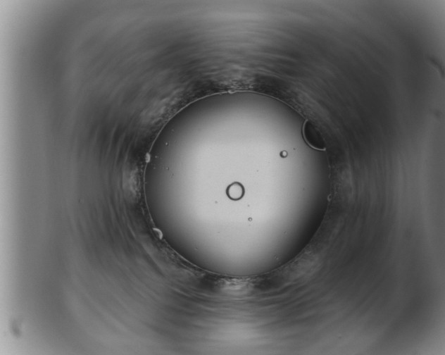 X0000103220088200809041012