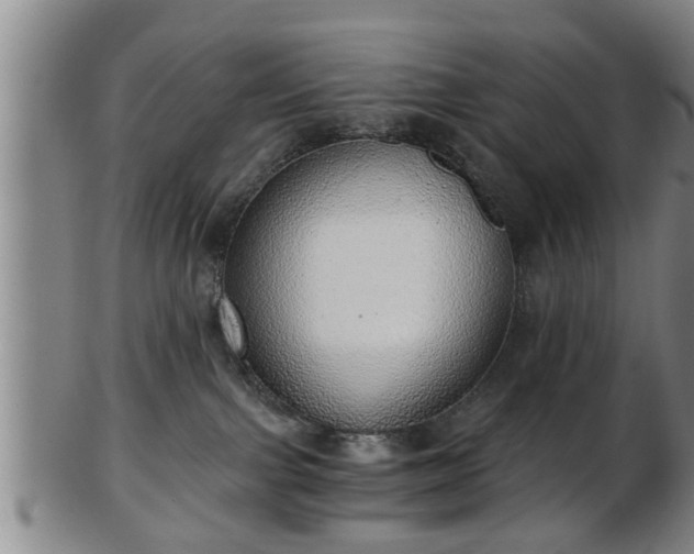 X0000103220091200809041012