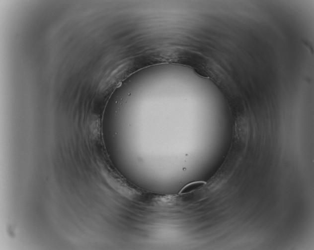 X0000103220092200809041012