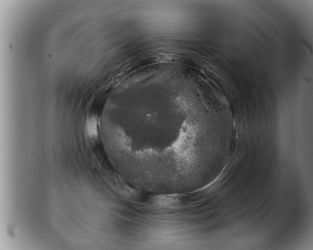 X0000103220094200809041012