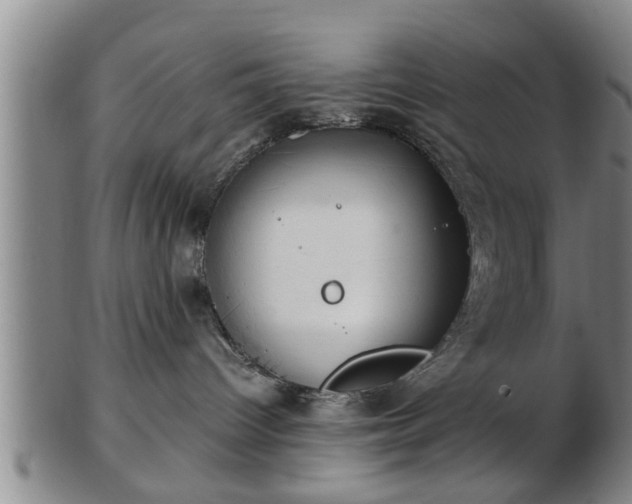 X0000103220096200809041012