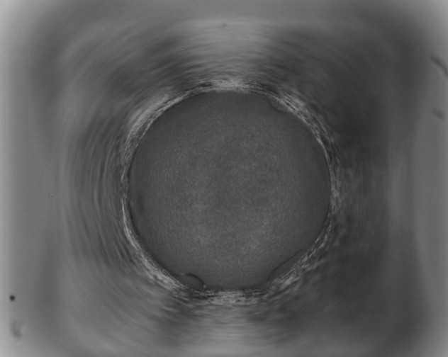 X0000103220097200809041011