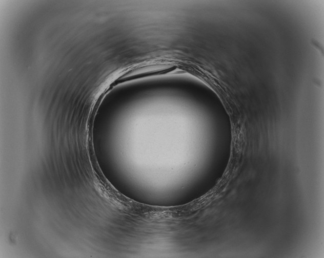 X0000103220100200809041011