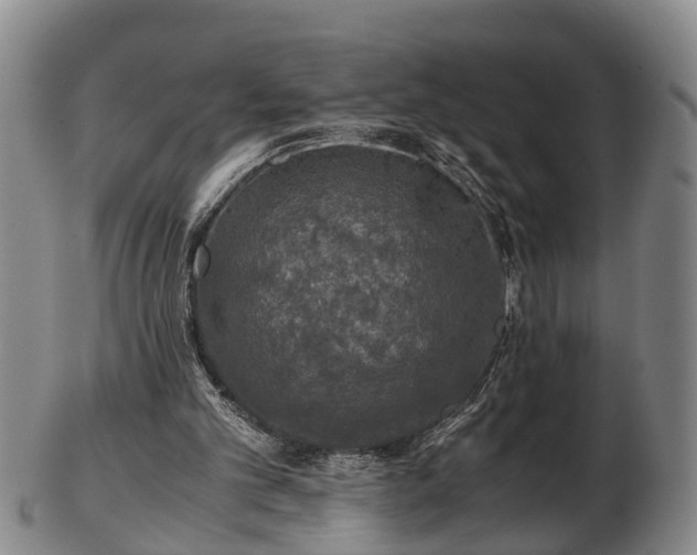 X0000103220101200809041011