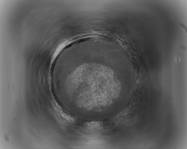 X0000103220102200809041011