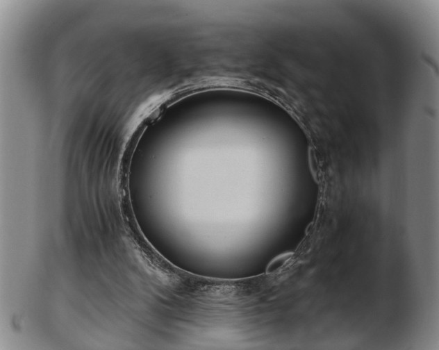 X0000103220104200809041011