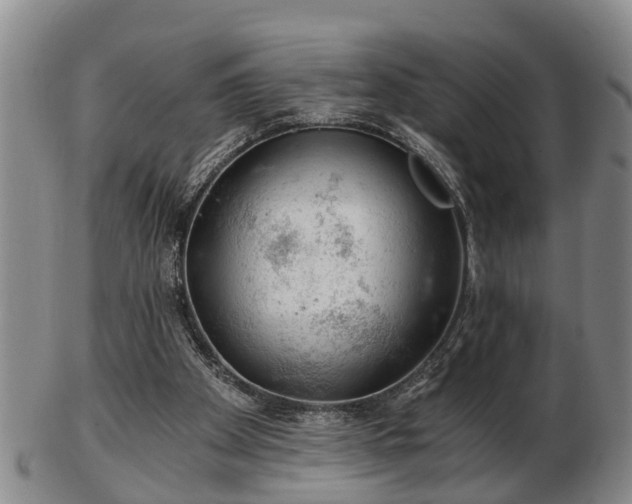 X0000103220105200809041011