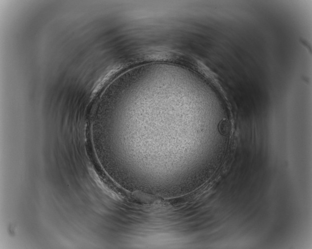 X0000103220106200809041011