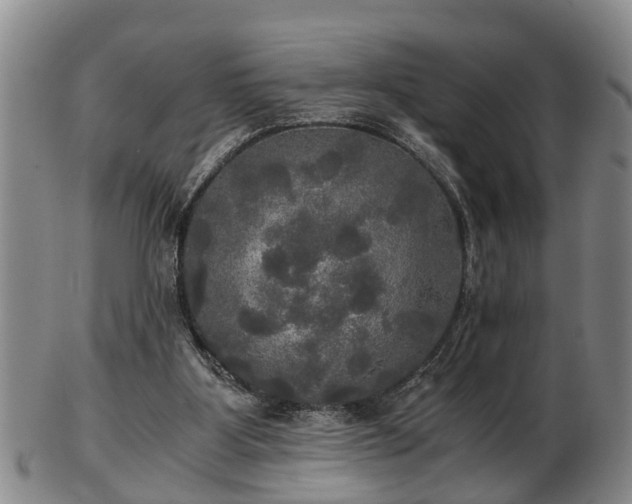 X0000103220107200809041011