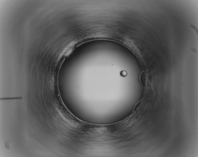 X0000103220108200809041011