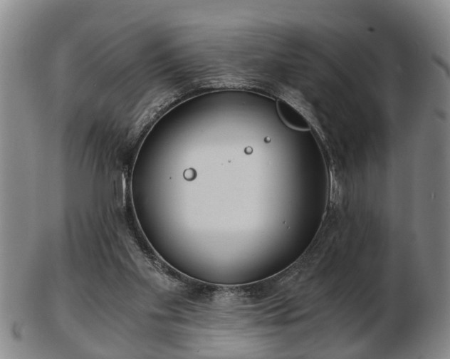 X0000103220109200809041011