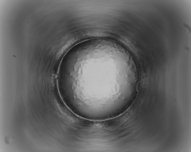 X0000103220111200809041011