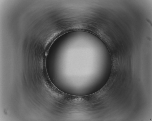 X0000103220112200809041011