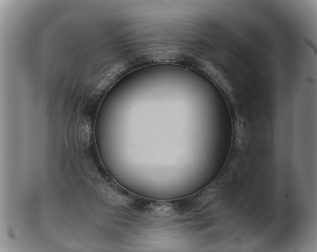 X0000103220113200809041011