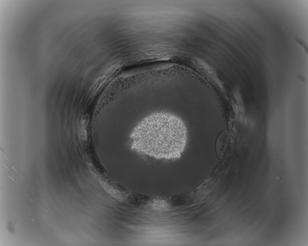 X0000103220114200809041011