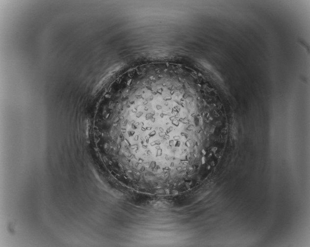 X0000103220115200809041011