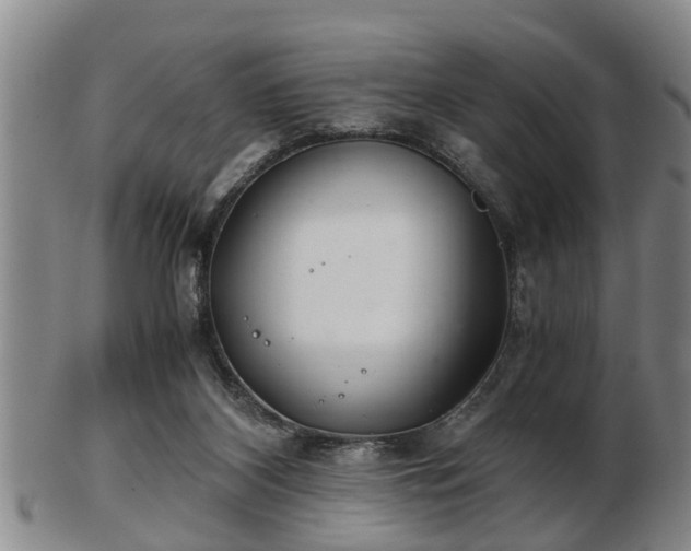 X0000103220116200809041011