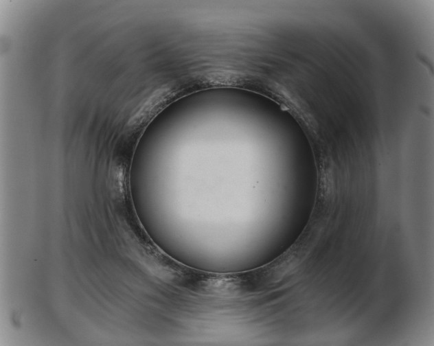 X0000103220117200809041011