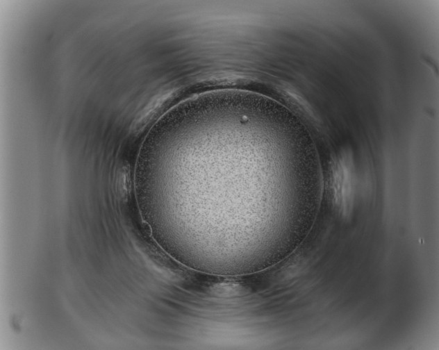 X0000103220119200809041011