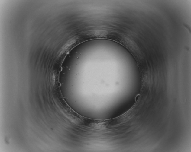 X0000103220120200809041011