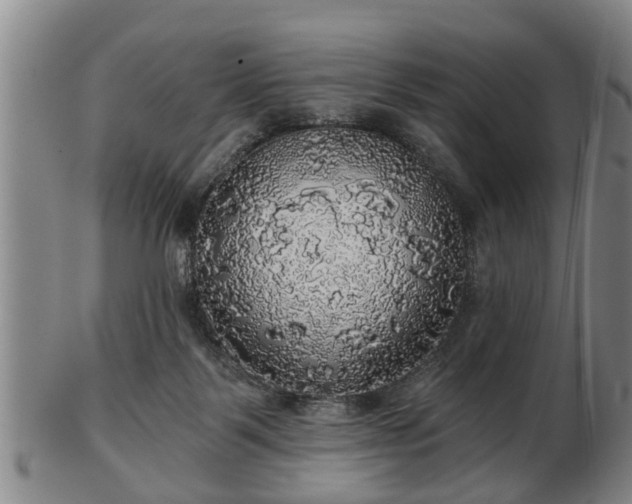 X0000103220123200809041011