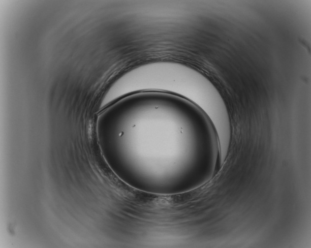 X0000103220124200809041011