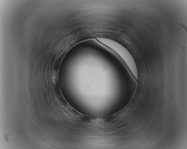 X0000103220125200809041011