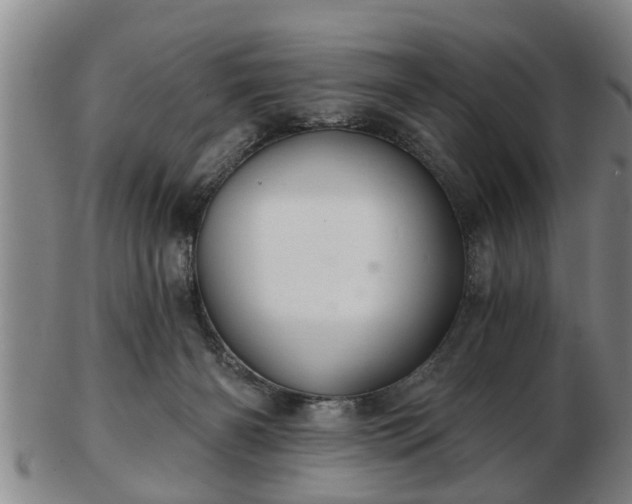 X0000103220126200809041011