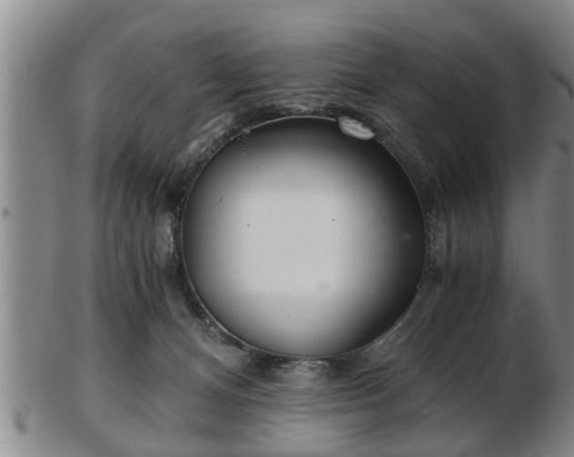 X0000103220128200809041011