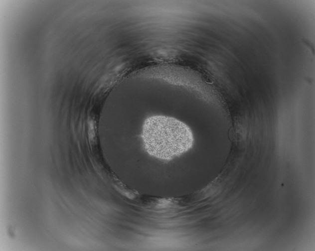 X0000103220130200809041011